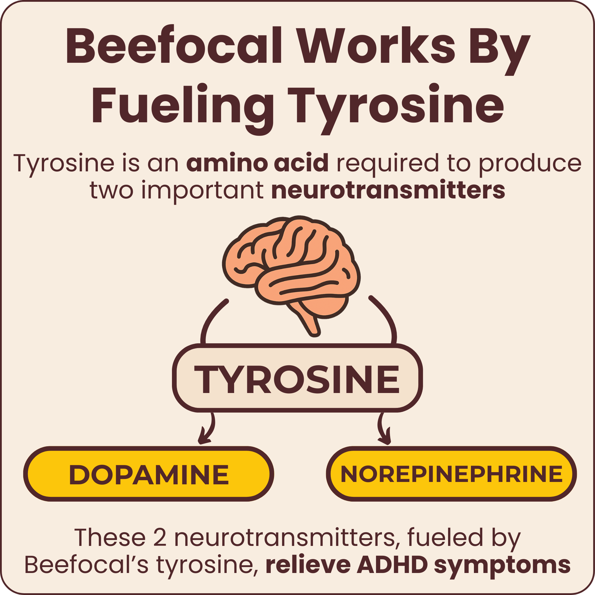 ADHD Support Backed by Real Customer Experience