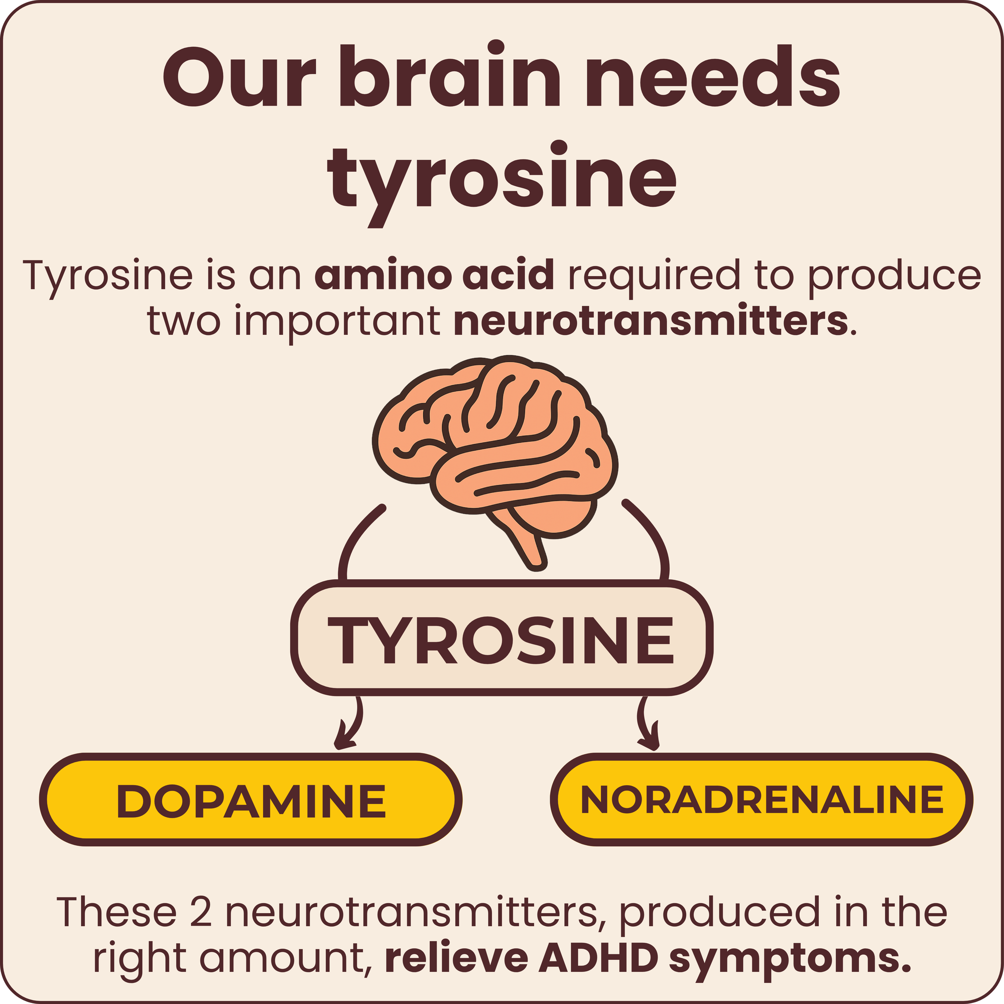 Daily Brain Nutrition For ADHD Minds