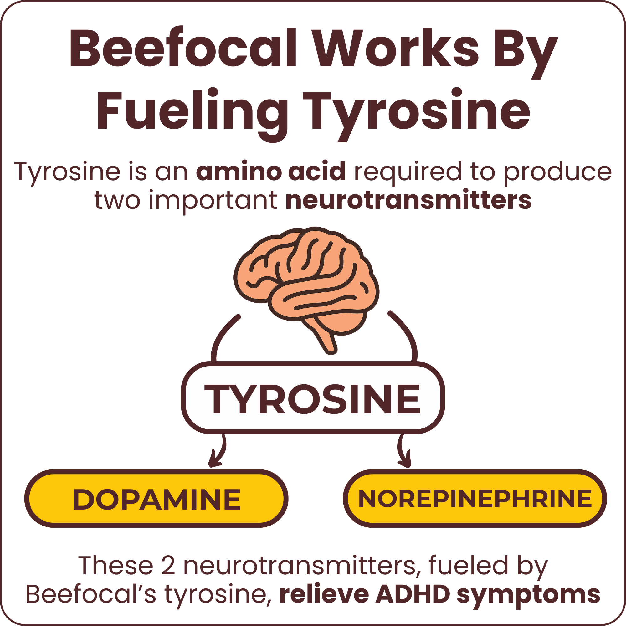 Natural ADHD Support, No Long Prescription Process - Beefocal