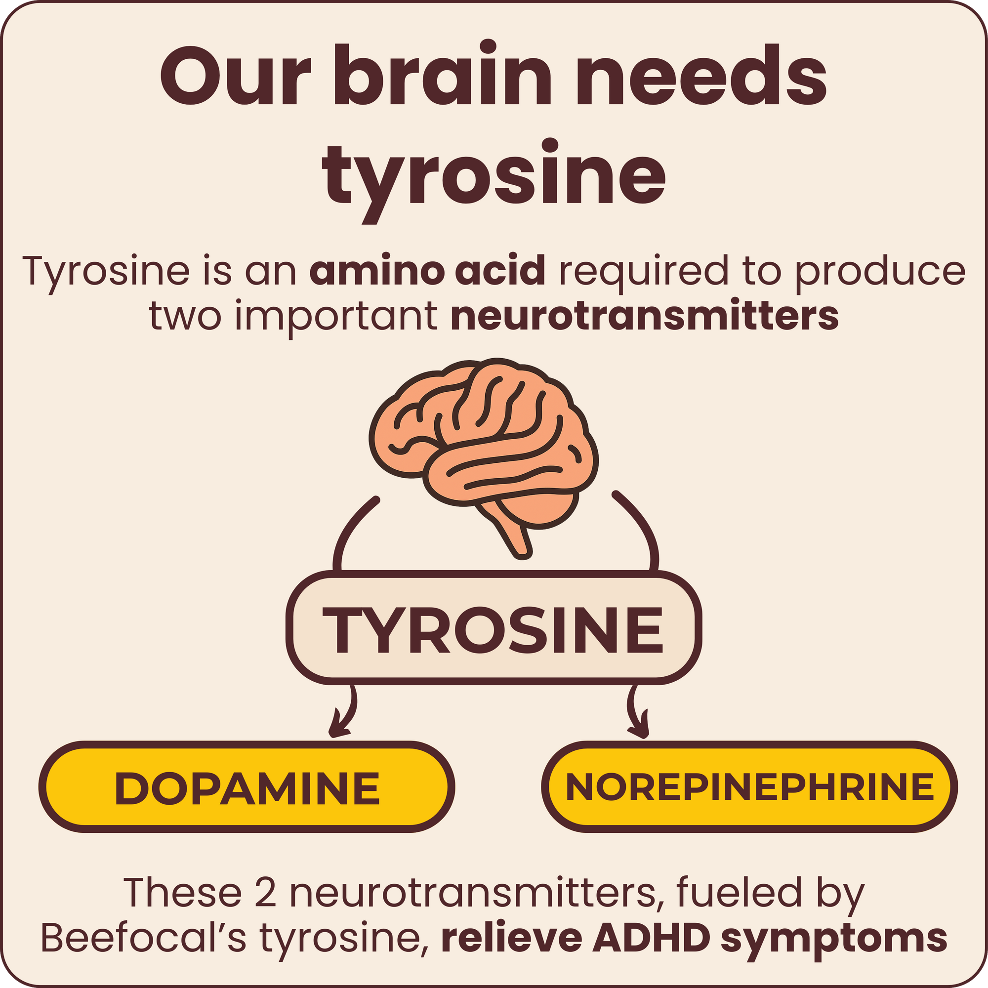 natural ADHD supplements for focus