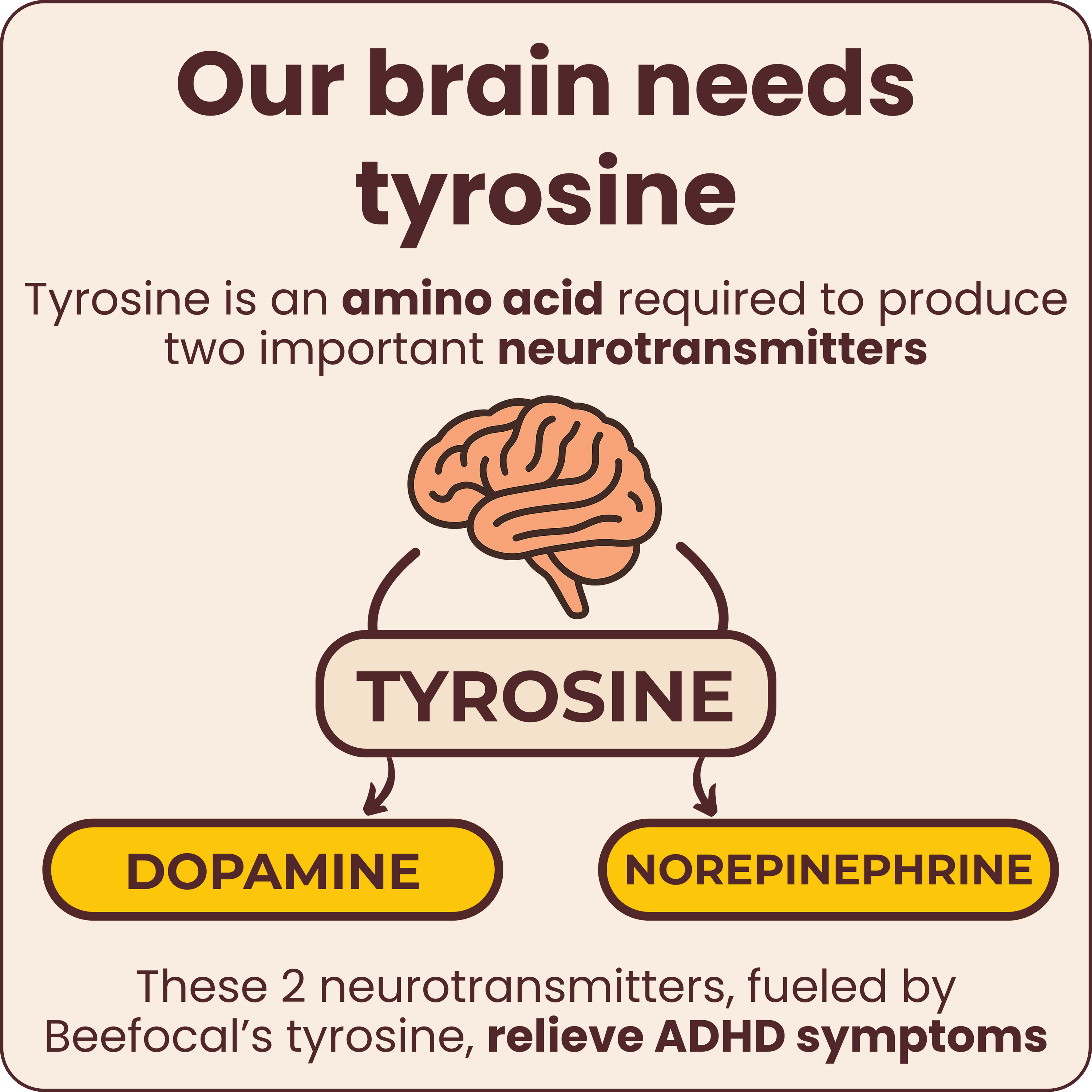 natural ADHD supplements for focus